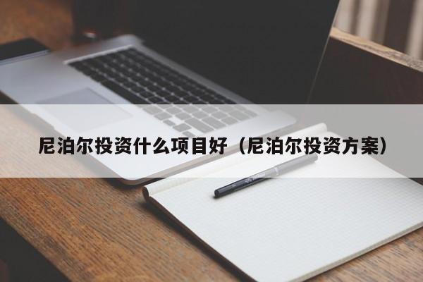 尼泊尔投资什么项目好（尼泊尔投资方案）