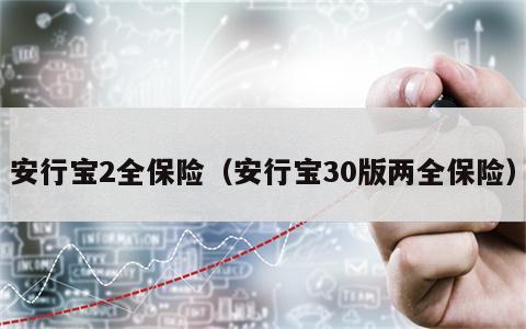 安行宝2全保险（安行宝30版两全保险）