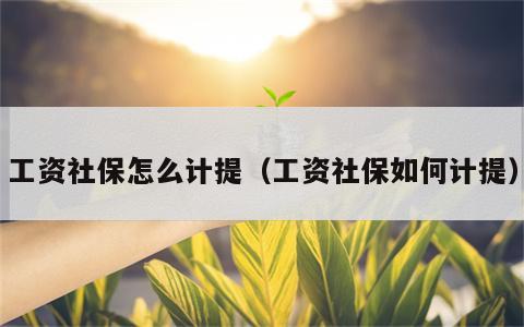 工资社保怎么计提（工资社保如何计提）