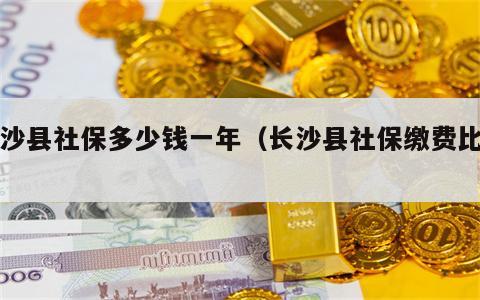 长沙县社保多少钱一年（长沙县社保缴费比例）