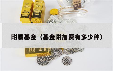 附属基金（基金附加费有多少种）