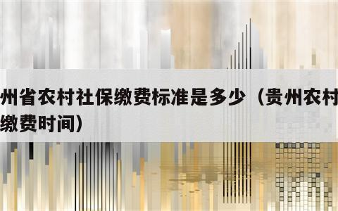 贵州省农村社保缴费标准是多少（贵州农村社保缴费时间）