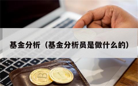 基金分析（基金分析员是做什么的）