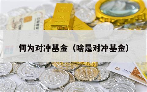 何为对冲基金（啥是对冲基金）