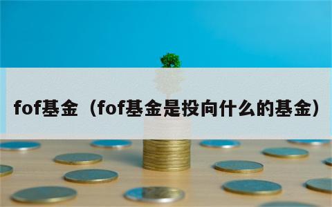 fof基金（fof基金是投向什么的基金）