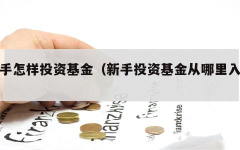 新手怎样投资基金（新手投资基金从哪里入手）