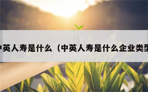 中英人寿是什么（中英人寿是什么企业类型）