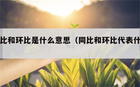 同比和环比是什么意思（同比和环比代表什么）