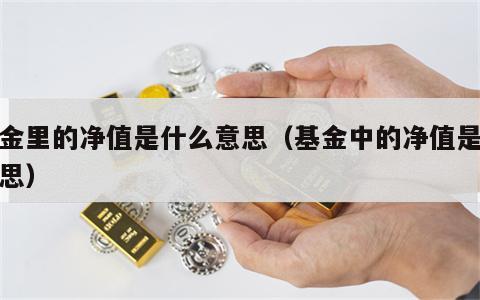 基金里的净值是什么意思（基金中的净值是啥意思）