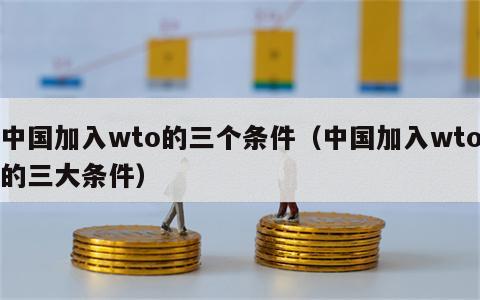 中国加入wto的三个条件（中国加入wto的三大条件）