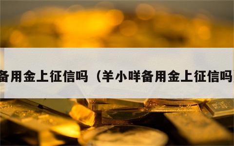 备用金上征信吗（羊小咩备用金上征信吗）