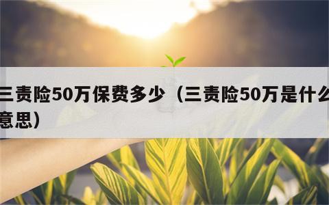 三责险50万保费多少（三责险50万是什么意思）