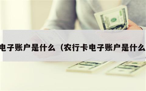 电子账户是什么（农行卡电子账户是什么）