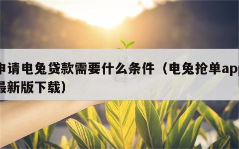 申请电兔贷款需要什么条件（电兔抢单app最新版下载）