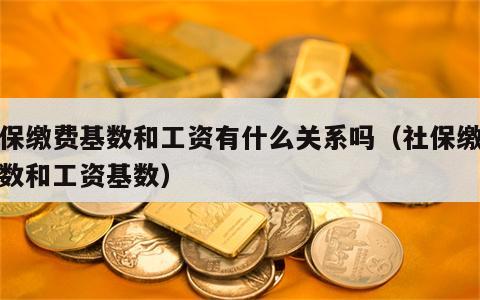 社保缴费基数和工资有什么关系吗（社保缴费基数和工资基数）