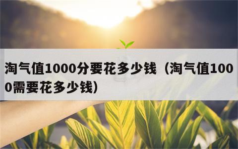 淘气值1000分要花多少钱（淘气值1000需要花多少钱）