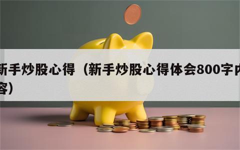 新手炒股心得（新手炒股心得体会800字内容）