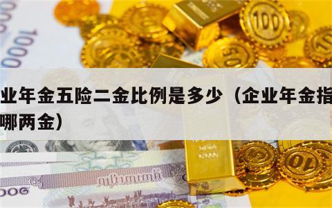 企业年金五险二金比例是多少（企业年金指的是哪两金）