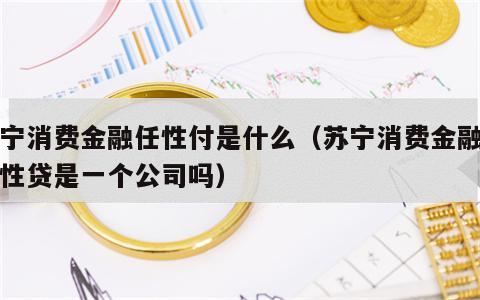 苏宁消费金融任性付是什么（苏宁消费金融和任性贷是一个公司吗）