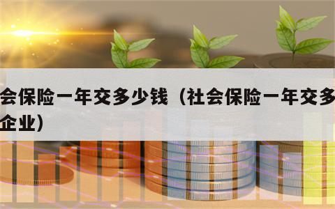 社会保险一年交多少钱（社会保险一年交多少钱企业）