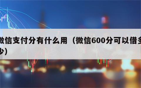 微信支付分有什么用（微信600分可以借多少）