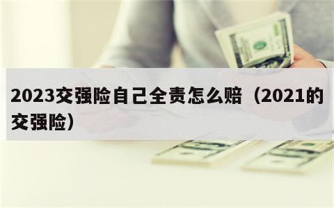 2023交强险自己全责怎么赔（2021的交强险）