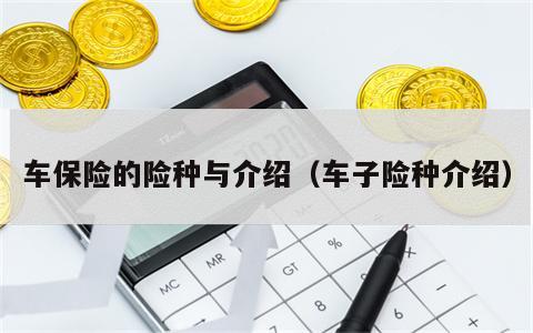 车保险的险种与介绍（车子险种介绍）