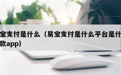 易宝支付是什么（易宝支付是什么平台是什么放款app）