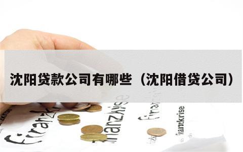 沈阳贷款公司有哪些（沈阳借贷公司）