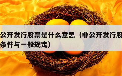 非公开发行股票是什么意思（非公开发行股票的条件与一般规定）