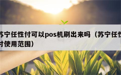 苏宁任性付可以pos机刷出来吗（苏宁任性付使用范围）