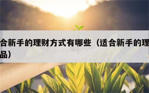 适合新手的理财方式有哪些（适合新手的理财产品）