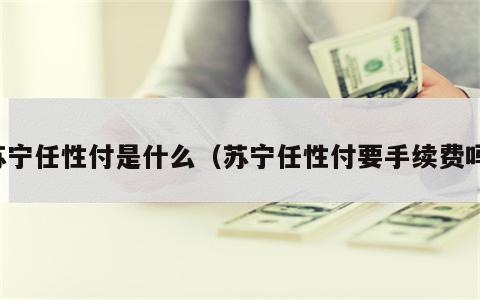 苏宁任性付是什么（苏宁任性付要手续费吗）