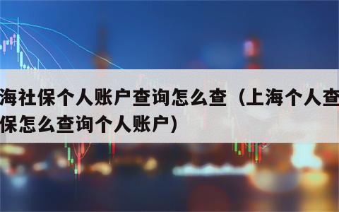 上海社保个人账户查询怎么查（上海个人查询社保怎么查询个人账户）