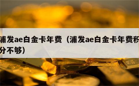 浦发ae白金卡年费（浦发ae白金卡年费积分不够）