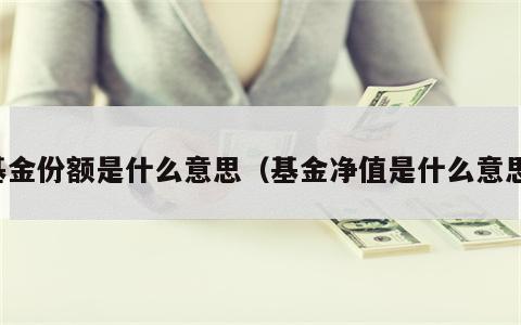 基金份额是什么意思（基金净值是什么意思）