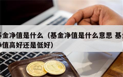 基金净值是什么（基金净值是什么意思 基金净值高好还是低好）