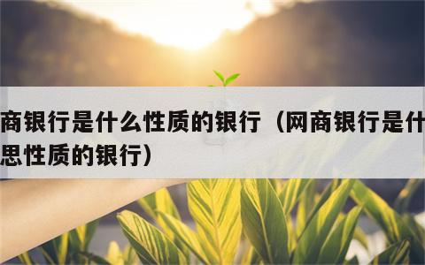 网商银行是什么性质的银行（网商银行是什么意思性质的银行）