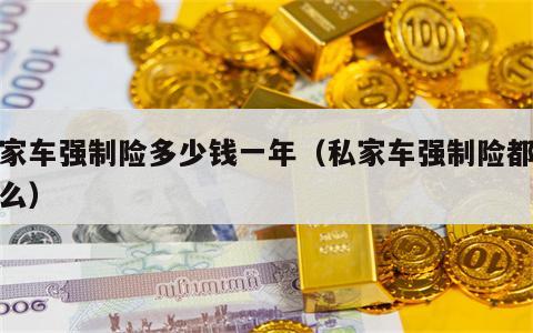 私家车强制险多少钱一年（私家车强制险都保什么）