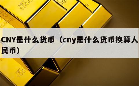 CNY是什么货币（cny是什么货币换算人民币）