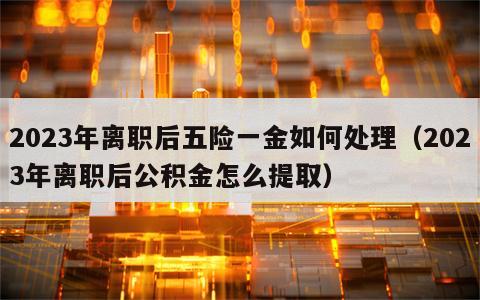 2023年离职后五险一金如何处理（2023年离职后公积金怎么提取）