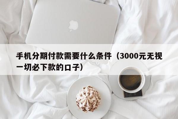 手机分期付款需要什么条件（3000元无视一切必下款的口子）