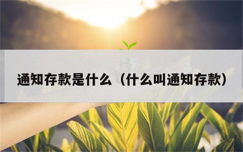 通知存款是什么（什么叫通知存款）