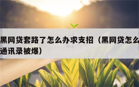 被黑网贷套路了怎么办求支招（黑网贷怎么防止通讯录被爆）