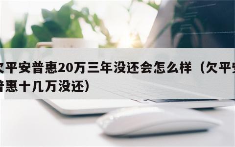 欠平安普惠20万三年没还会怎么样（欠平安普惠十几万没还）