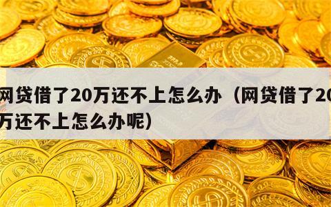 网贷借了20万还不上怎么办（网贷借了20万还不上怎么办呢）