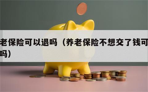 养老保险可以退吗（养老保险不想交了钱可以退吗）