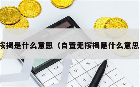 按揭是什么意思（自置无按揭是什么意思）