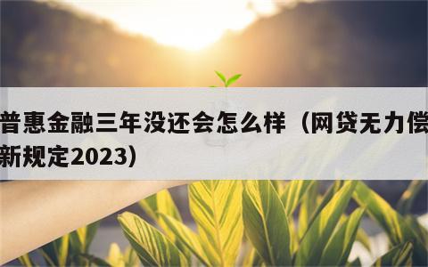 欠普惠金融三年没还会怎么样（网贷无力偿还最新规定2023）