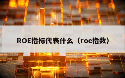 ROE指标代表什么（roe指数）